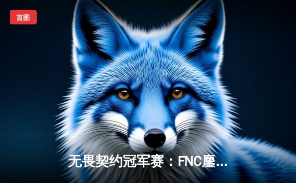 无畏契约冠军赛：FNC鏖战五局力克EG，选手Alfajer极限残局引热议
